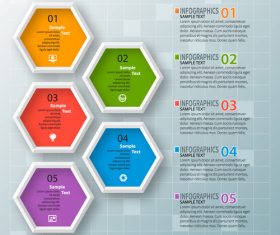hexagon option infographic template vector 02