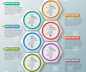 hexagon option infographic template vector 04