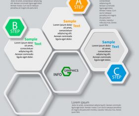 hexagon option infographic template vector 05
