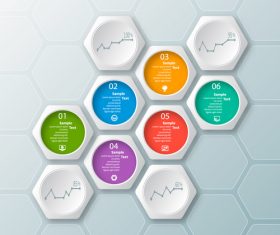 hexagon option infographic template vector 06