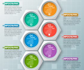 hexagon option infographic template vector 07