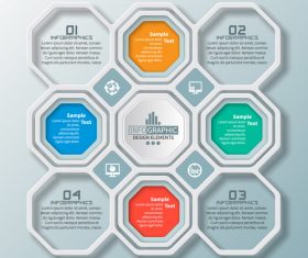 hexagon option infographic template vector 12