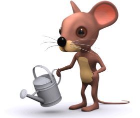 mouse watering cartoon vector