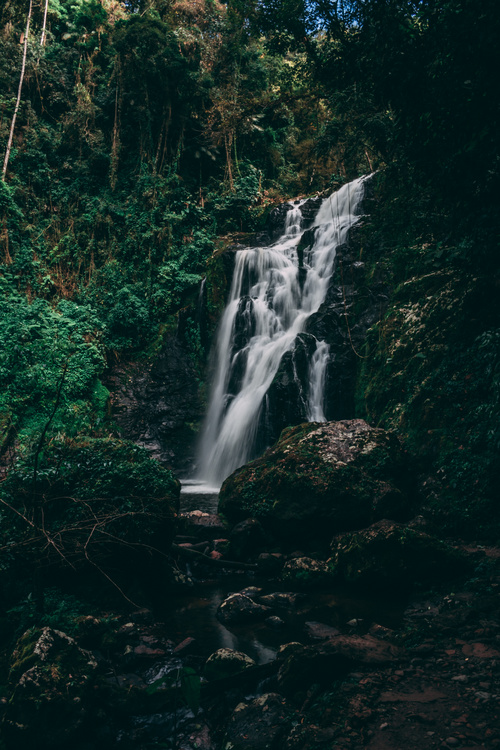 quiet and secluded forest waterfall Stock Photo