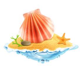 shell with starfish summer travel vector