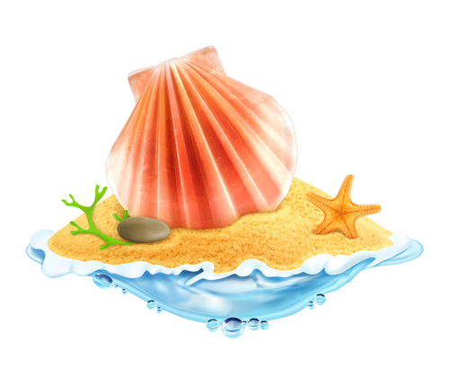 shell with starfish summer travel vector