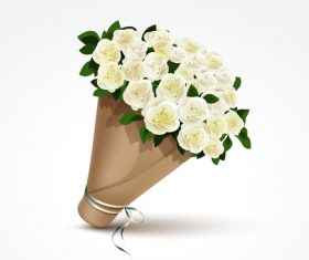 A bouquet of white roses vector