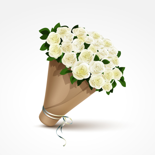 A bouquet of white roses vector