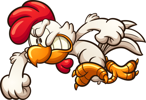 Angry chicken cartoon vector
