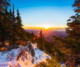 Autumn daytime dusk evening fall forest landscape Stock Photo