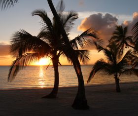 Bahamas Palm Island at sunset Stock Photo