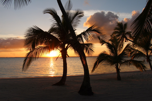 Bahamas Palm Island at sunset Stock Photo