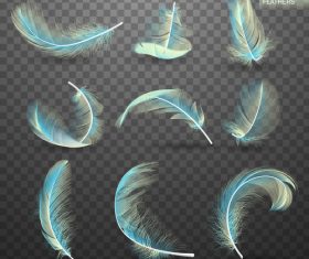 Blue feather realistic design vector 01