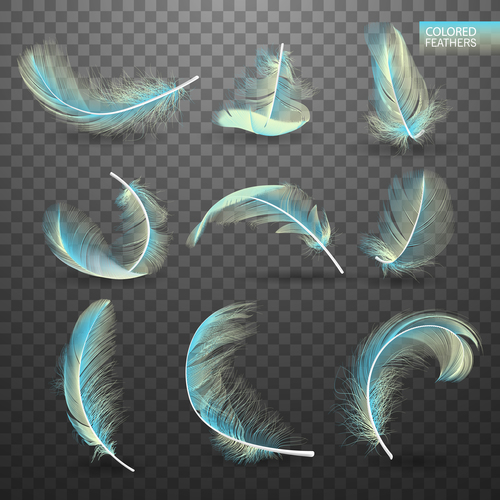 Blue feather realistic design vector 01