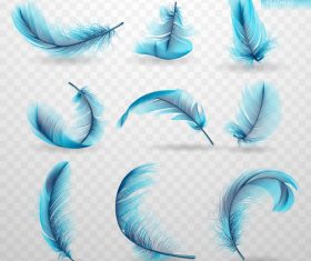 Blue feather realistic design vector 02