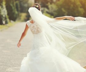 Bride wedding photos in different scenes Stock Photo 01