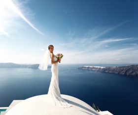 Bride wedding photos in different scenes Stock Photo 11