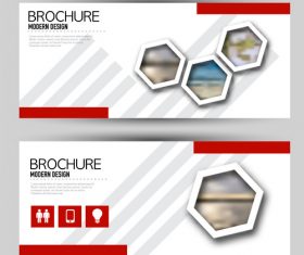 Brochure design with banners vector 06
