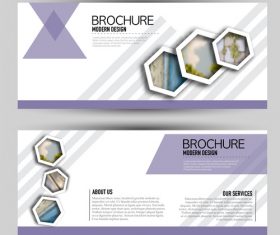 Brochure design with banners vector 09