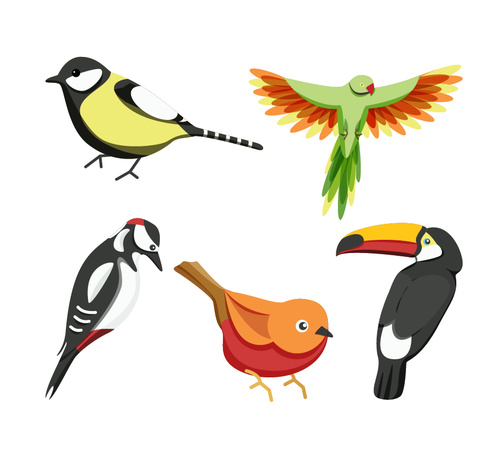 Cartoon bird vector material