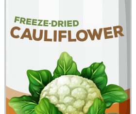 Cauliflower canned vector 01