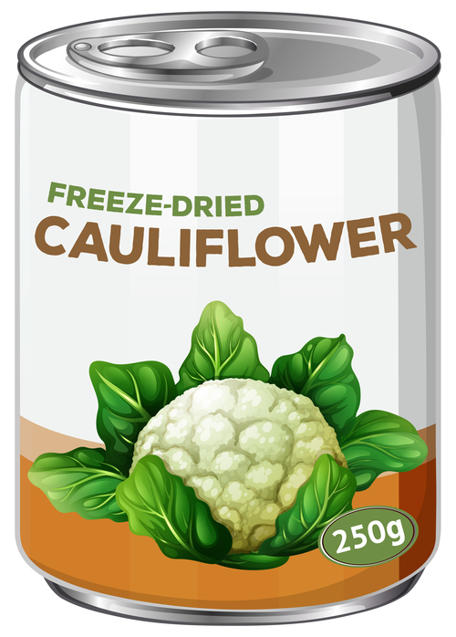 Cauliflower canned vector 01
