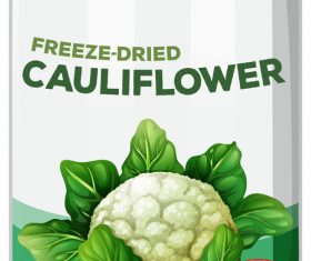 Cauliflower canned vector 02