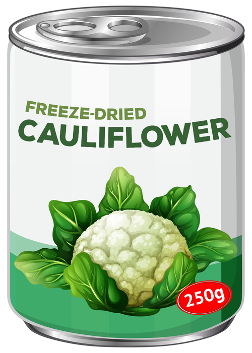 Cauliflower canned vector 02