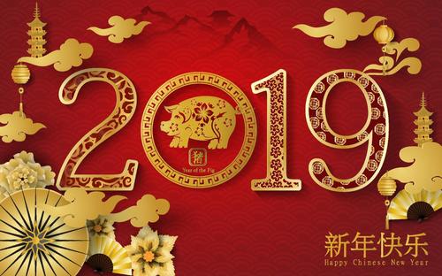 Chinese pig year with 2019 new year design vector 01