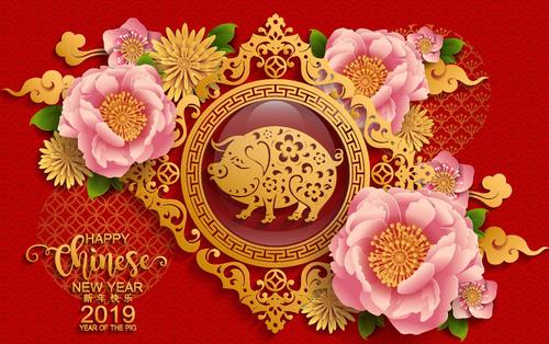 Chinese pig year with 2019 new year design vector 03