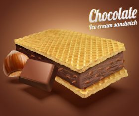 Chocolate Ice cream biscuits vector illustration