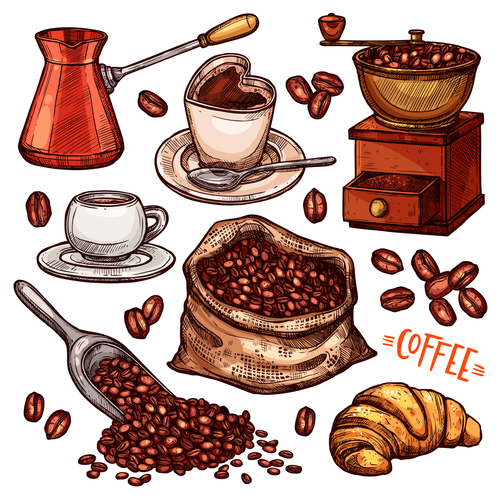 Coffee color hand drawn vector sketch Illustration 02
