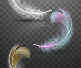 Color feather realistic design vector 02