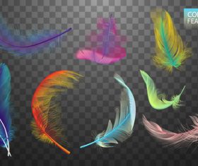 Colorful feather realistic design vector 01
