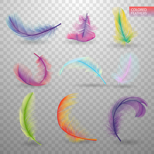 Colorful feather realistic design vector 02