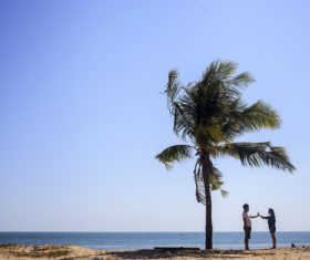Couple of Gimme five under the coconut tree Stock Photo