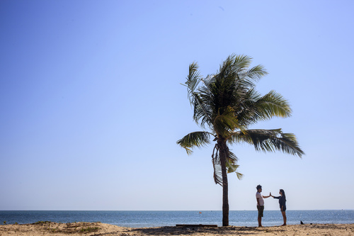 Couple of Gimme five under the coconut tree Stock Photo