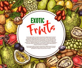 Exotic fruits background vector