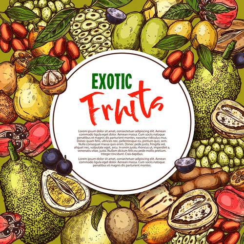 Exotic fruits background vector