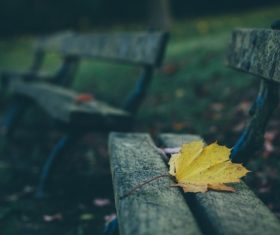 Fallen leaves on wooden chair Stock Photo
