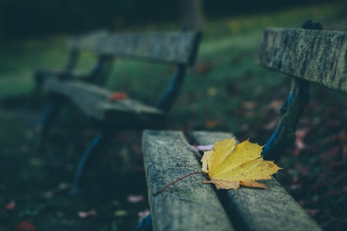 Fallen leaves on wooden chair Stock Photo
