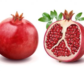 Fresh pomegranate vector material