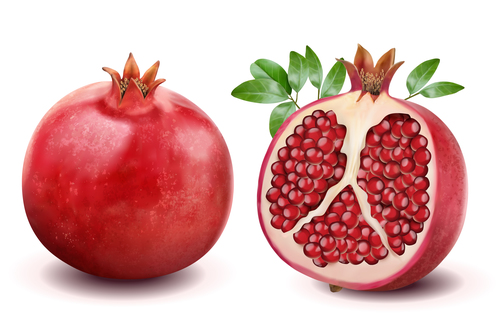 Fresh pomegranate vector material