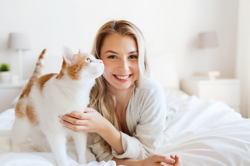 Girl and cat on the bed Stock Photo 01