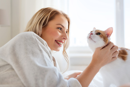 Girl and cat on the bed Stock Photo 04