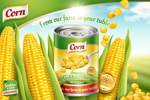 Golden corn tin poster vector template 01