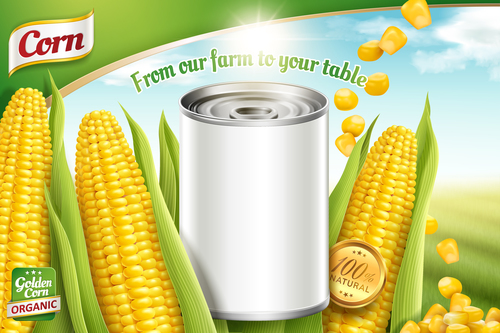 Golden corn tin poster vector template 03
