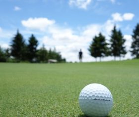 Golf ball on the lawn Stock Photo
