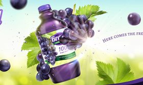 Grape juice poster design vector template 01