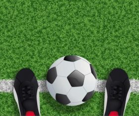 Green grass with soccer field background vector